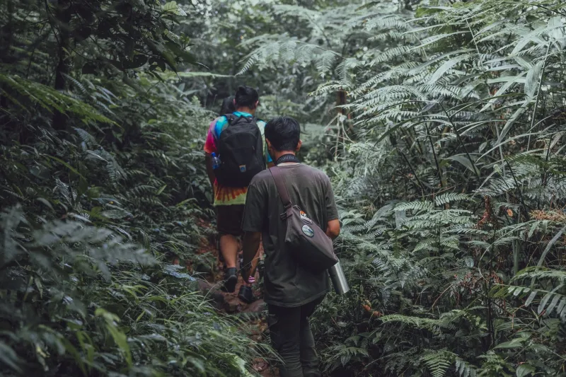 Cinque sentieri imperdibili nella foresta: alla scoperta della natura selvaggia intorno ad Hotel La Selva