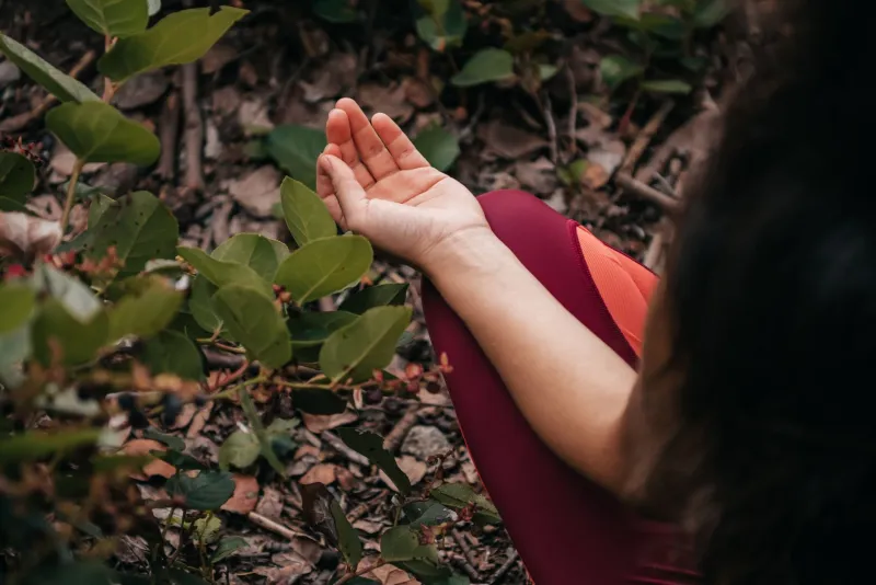 Sette giorni per ritrovarsi: un programma di digital detox nella foresta di Hotel La Selva